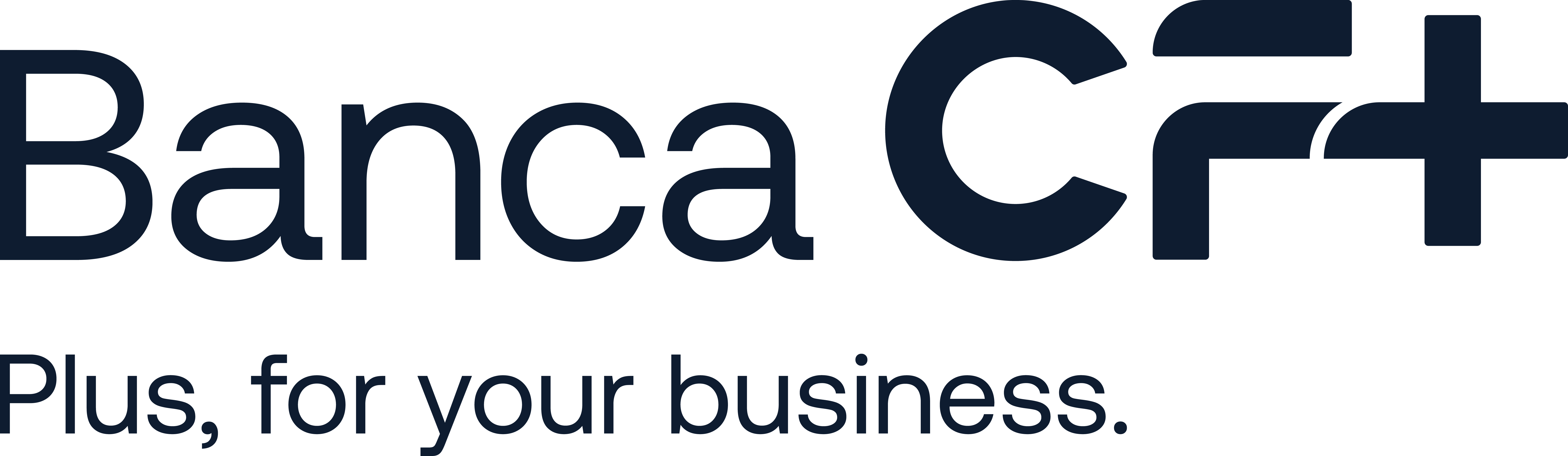 LOGO CF+ ORIZZONTALE BLU